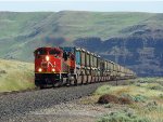 CN 8830